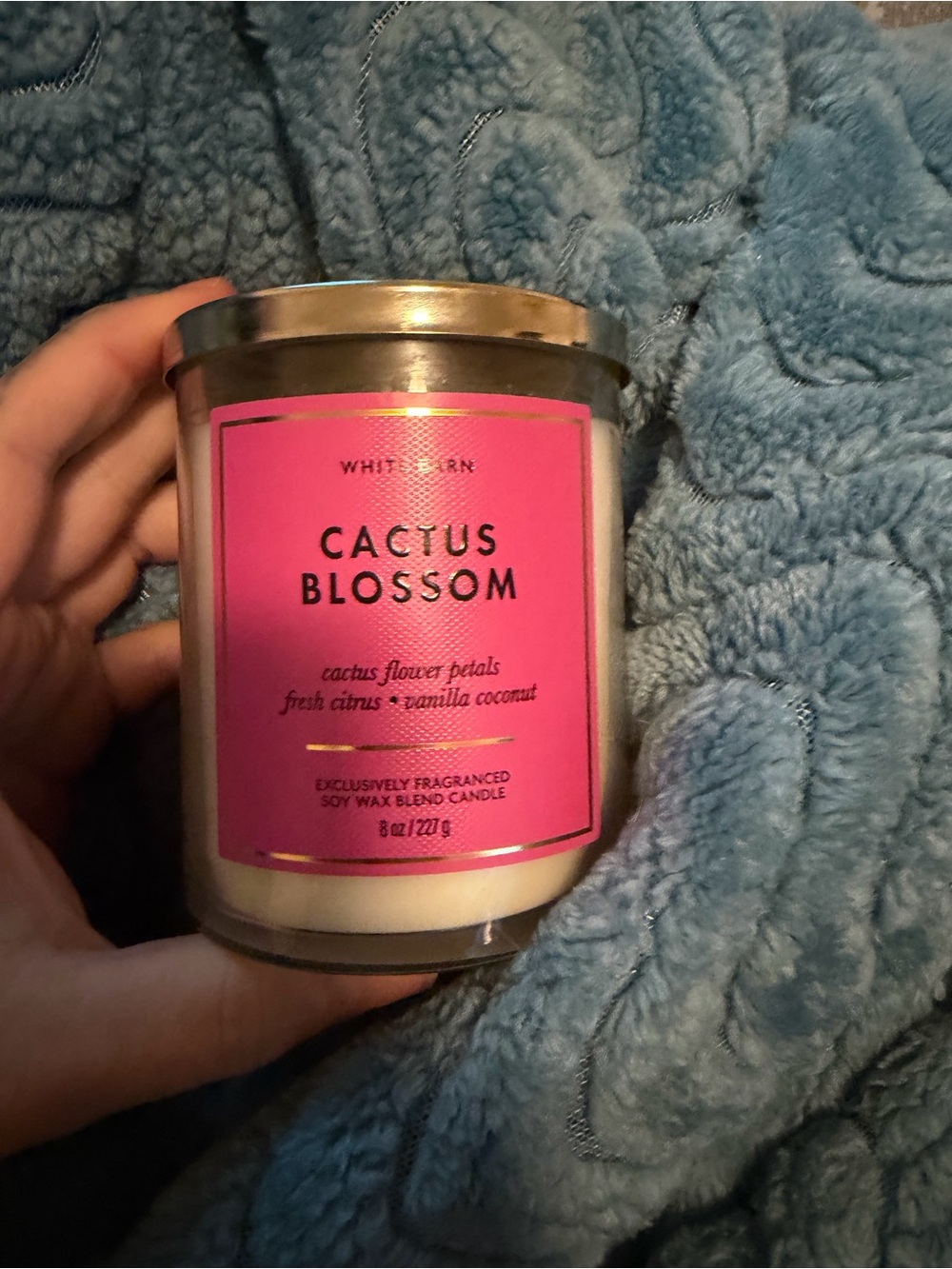 Bath & Body Works Cactus Blossom Candle - Pink & Silver